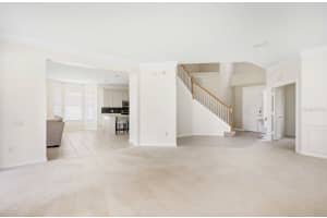 3533 JUNEBERRY DRIVE, WESLEY CHAPEL, FL 33543 - MLS#MFRTB8448792