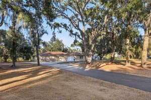 5706 DURANT ROAD, DOVER, FL 33527 - MLS#MFRTB8448887