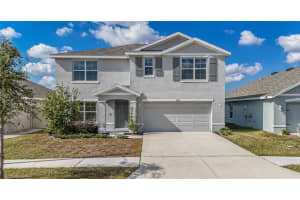 11889 DOWNY BIRCH DRIVE, RIVERVIEW, FL 33569 - MLS#MFRTB8448899