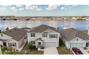 11889 DOWNY BIRCH DRIVE, RIVERVIEW, FL 33569 - MLS#MFRTB8448899
