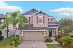 5320 Little Stream Ln, WESLEY CHAPEL 5320 Little Stream Ln, WESLEY CHAPEL