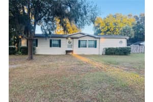 10603 Skewlee Gardens Dr, THONOTOSASSA