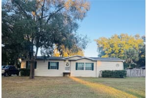 10603 SKEWLEE GARDENS DRIVE, THONOTOSASSA, FL 33592 - MLS#MFRTB8448907