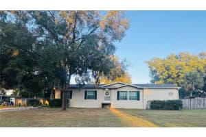 10603 SKEWLEE GARDENS DRIVE, THONOTOSASSA, FL 33592 - MLS#MFRTB8448907