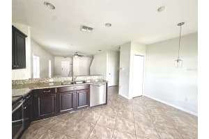 20031 DATE PALM WAY, TAMPA, FL 33647 - MLS#MFRTB8448918