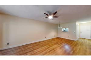 1155 MONTROSE PLACE, DUNEDIN, FL 34698 - MLS#MFRTB8448932