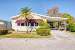 8 PELICAN DRIVE, OLDSMAR, FL 34677 - MLS#MFRTB8448944