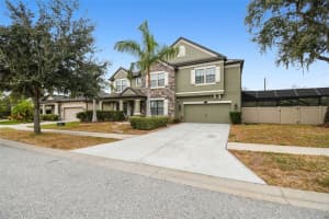 11748 ALBATROSS LANE, RIVERVIEW, FL 33569 - MLS#MFRTB8449022