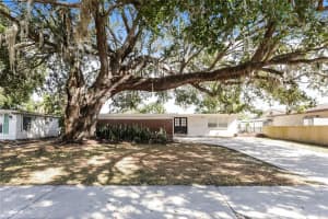 205 BRYAN ROAD, BRANDON, FL 33511 - MLS#MFRTB8449025
