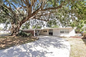205 BRYAN ROAD, BRANDON, FL 33511 - MLS#MFRTB8449025