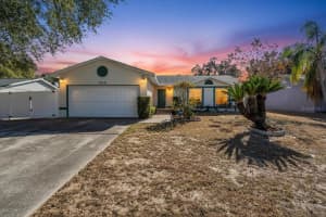 1215 Edgerton Dr, VALRICO