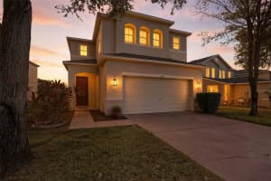 9706 SIMEON DRIVE, LAND O LAKES, FL 34638 - MLS#MFRTB8449031