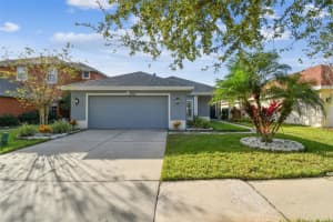 20106 NOB OAK AVENUE, TAMPA, FL 33647 - MLS#MFRTB8449152