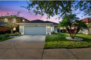 20106 NOB OAK AVENUE, TAMPA, FL 33647 - MLS#MFRTB8449152