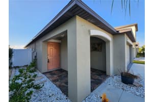 872 OLIVE CONCH STREET, RUSKIN, FL 33570 - MLS#MFRTB8449170