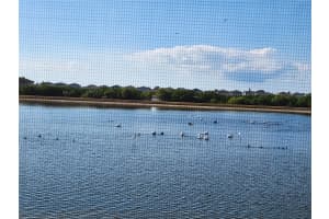 872 OLIVE CONCH STREET, RUSKIN, FL 33570 - MLS#MFRTB8449170