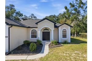 5495 EMERALD DRIVE, DADE CITY, FL 33523 - MLS#MFRTB8449179