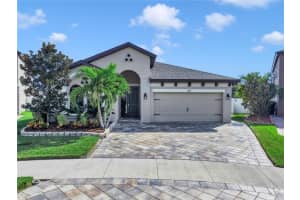 13114 FOXTAIL FERN DRIVE, RIVERVIEW, FL 33579 - MLS#MFRTB8449193