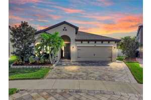 13114 FOXTAIL FERN DRIVE, RIVERVIEW, FL 33579 - MLS#MFRTB8449193