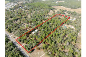 12301 DENTON AVENUE, HUDSON, FL 34667 - MLS#MFRTB8449229