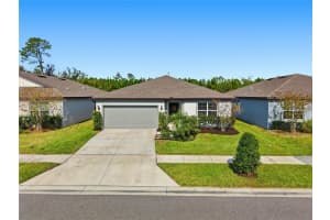 30177 Merilee Pl, WESLEY CHAPEL