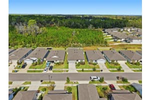 30177 MERILEE PLACE, WESLEY CHAPEL, FL 33545 - MLS#MFRTB8449234