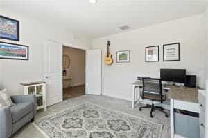 30177 MERILEE PLACE, WESLEY CHAPEL, FL 33545 - MLS#MFRTB8449234