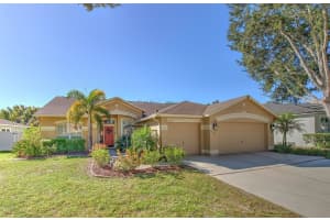 4621 River Close Blvd, VALRICO 4621 River Close Blvd, VALRICO