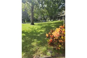 2897 THAXTON DRIVE, PALM HARBOR, FL 34684 - MLS#MFRTB8449259