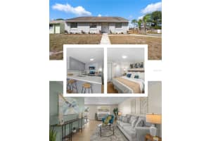 16150 Foxfire Dr, TAMPA 16150 Foxfire Dr, TAMPA