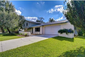 309 BLOOMINGFIELD DRIVE, BRANDON, FL 33511 - MLS#MFRTB8449320