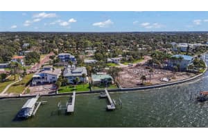 115 BUENA VISTA DRIVE, DUNEDIN, FL 34698 - MLS#MFRTB8449323