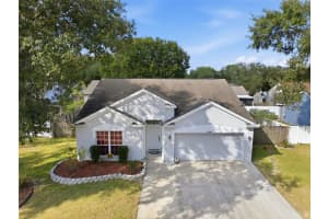 26843 ROSEANN PLACE, LUTZ, FL 33559 - MLS#MFRTB8449370