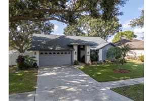 2634 GREEN VALLEY STREET, VALRICO, FL 33596 - MLS#MFRTB8449395