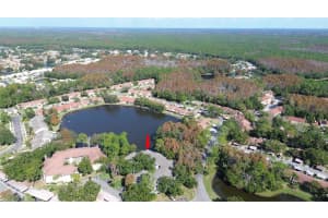 3399 MERMOOR DRIVE, PALM HARBOR, FL 34685 - MLS#MFRTB8449433
