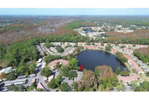 3399 MERMOOR DRIVE, PALM HARBOR, FL 34685 - MLS#MFRTB8449433