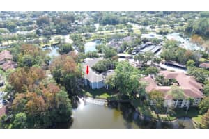 3399 MERMOOR DRIVE, PALM HARBOR, FL 34685 - MLS#MFRTB8449433
