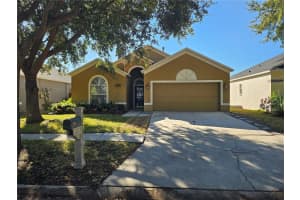 7715 Bristol Park Dr, APOLLO BEACH
