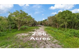 2102 SYDNEY DOVER ROAD, DOVER, FL 33527 - MLS#MFRTB8449527