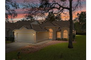9390 MISSISSIPPI RUN, WEEKI WACHEE, FL 34613 - MLS#MFRTB8449571