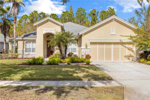 12013 Meridian Point Dr, TAMPA 12013 Meridian Point Dr, TAMPA