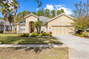 12013 MERIDIAN POINT DRIVE, TAMPA, FL 33626 - MLS#MFRTB8449579