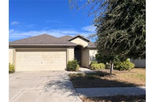 11018 Whittney Chase Dr, RIVERVIEW