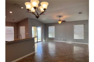 11018 WHITTNEY CHASE DRIVE, RIVERVIEW, FL 33579 - MLS#MFRTB8449596