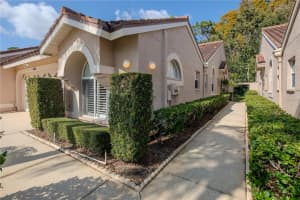 3825 DARSTON STREET, PALM HARBOR, FL 34685 - MLS#MFRTB8449598