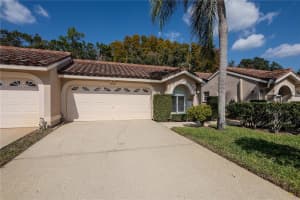 3825 DARSTON STREET, PALM HARBOR, FL 34685 - MLS#MFRTB8449598