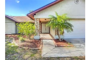 1623 CARTER OAKS DRIVE, VALRICO, FL 33596 - MLS#MFRTB8449676