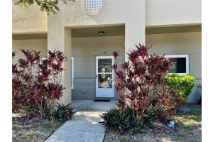 2294 BELGIAN LANE, CLEARWATER, FL 33763 - MLS#MFRTB8449679