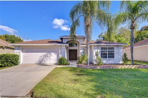 19414 MORDEN BLUSH DRIVE, LUTZ, FL 33558 - MLS#MFRTB8449696