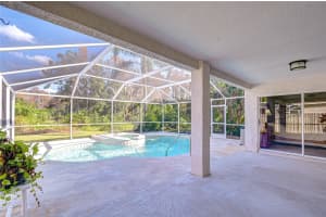 19414 MORDEN BLUSH DRIVE, LUTZ, FL 33558 - MLS#MFRTB8449696